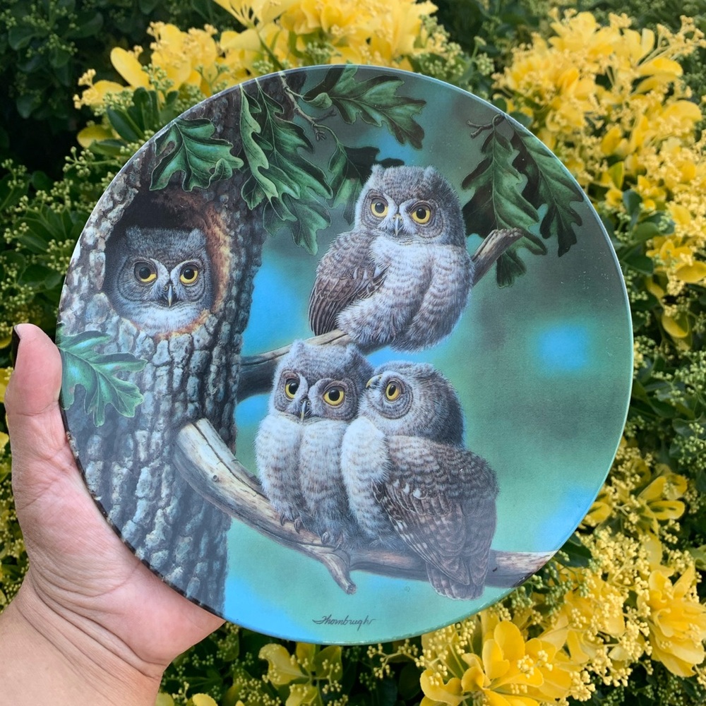 Vintage Edwin M. Knowles Owls Collector’s Plate